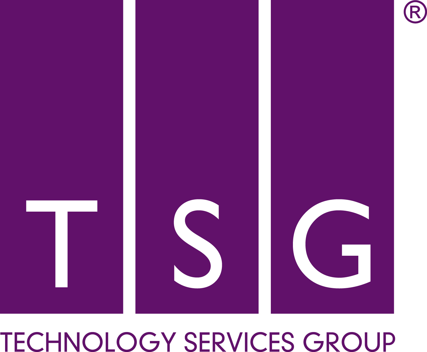 Technology Services Group Ltd Logo